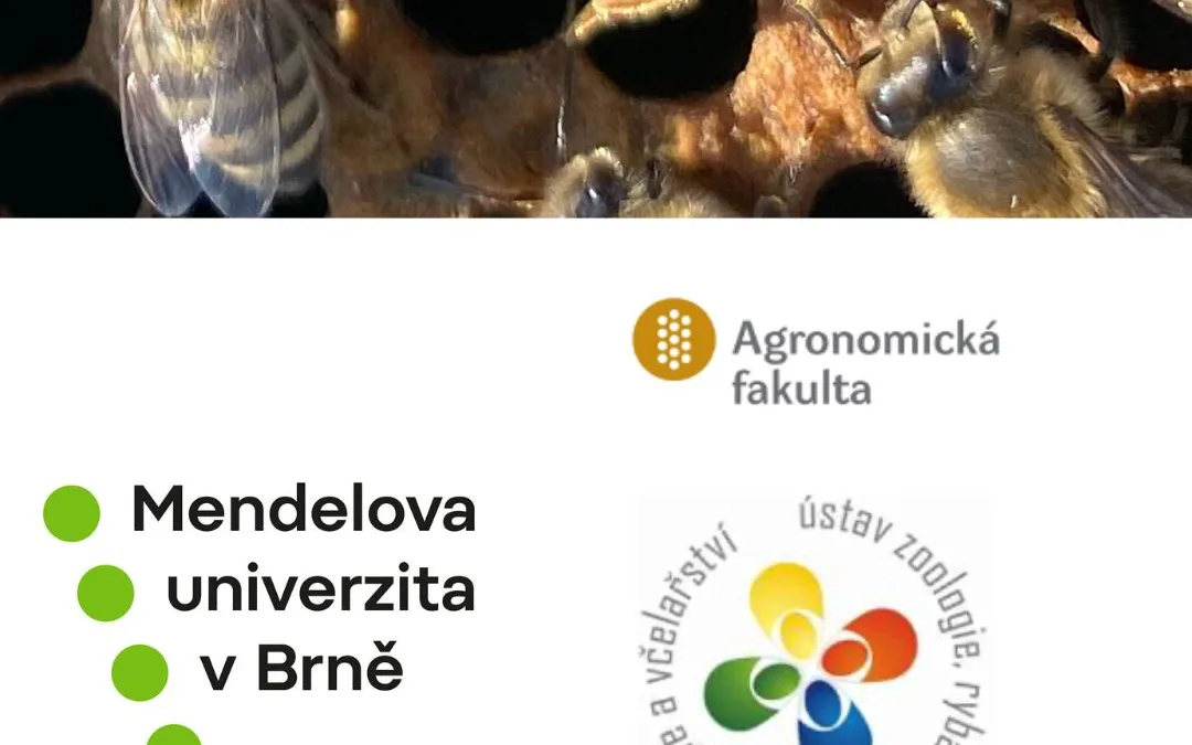 COOPERATION WITH THE DEPARTMENT OF BEEKEEPING OF THE INSTITUTE OF ZOOLOGY, FISHERIES, HYDROBIOLOGY AND BEEKEEPING OF THE FACULTY OF AGRONOMY OF THE MENDEL UNIVERSITY IN BRNO